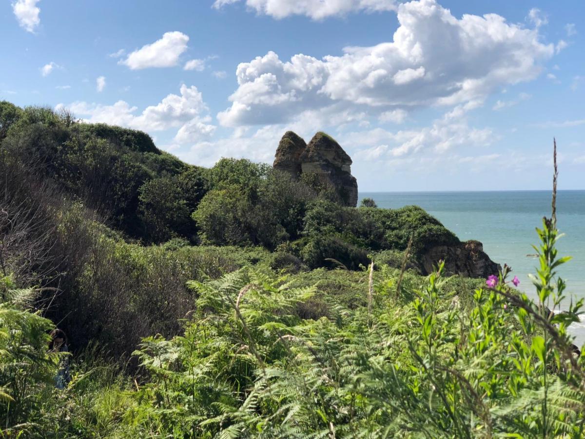 Le Petit Clos Du Bessin Longues-sur-Mer Екстер'єр фото